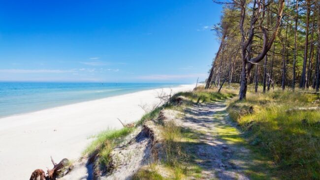 Romantyczny pobyt na wsi – Domki letniskowe typu stodoły w Sławoszynku Romantyczny pobyt na wsi - Domki letniskowe typu stodoły w Sławoszynku