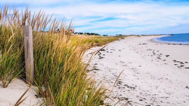 Oryginalne wakacje w Polsce Oryginalne wakacje w Polsce: czemu warto wynająć domki letniskowe typu stodoły w Sławoszynku